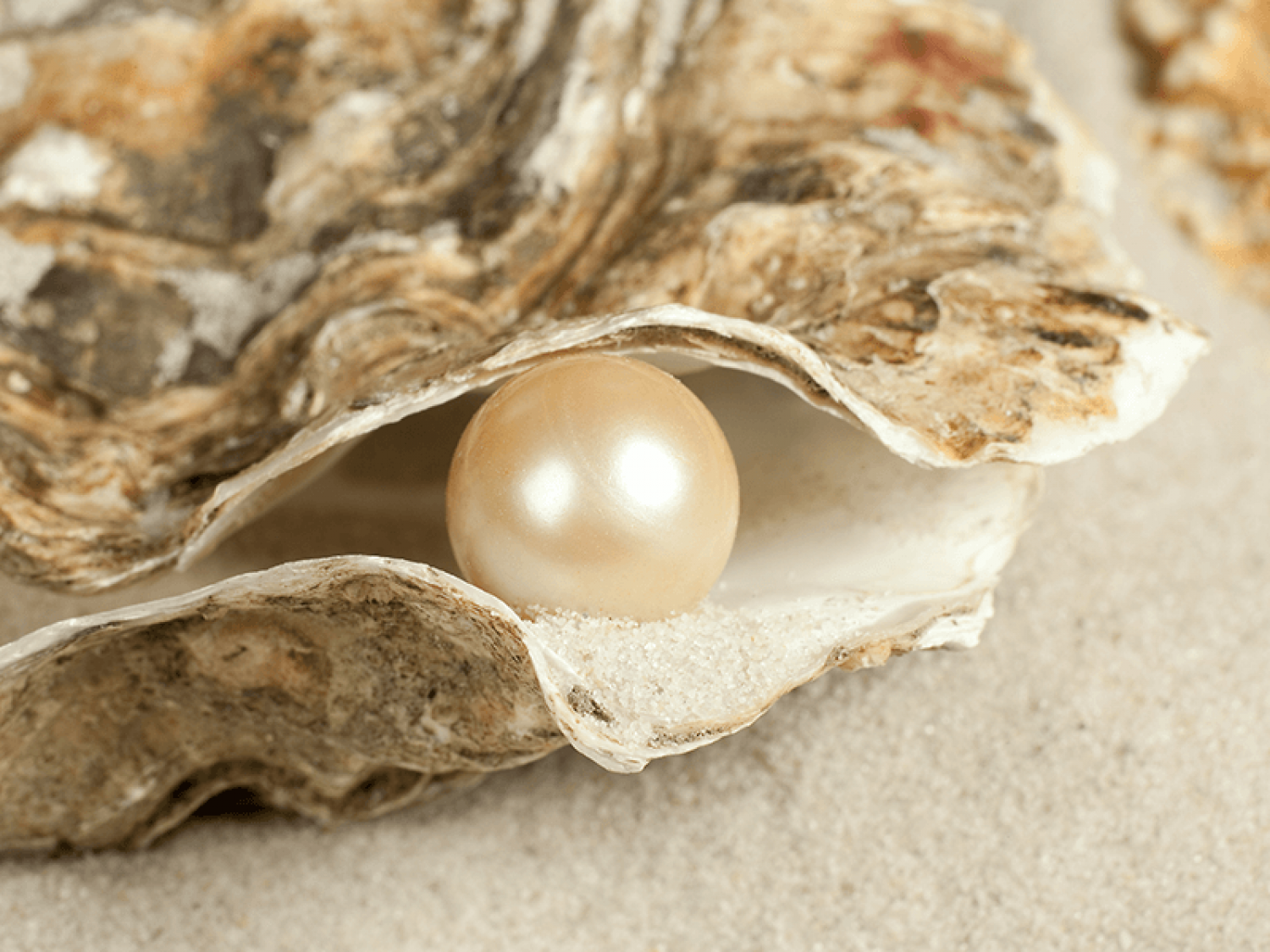 What is a Pearl Gemstone?